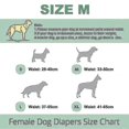 thumbnail image 2 of Washable Female Dog Diaper - Reusable High-quality Dog Diaper, 2 of 5