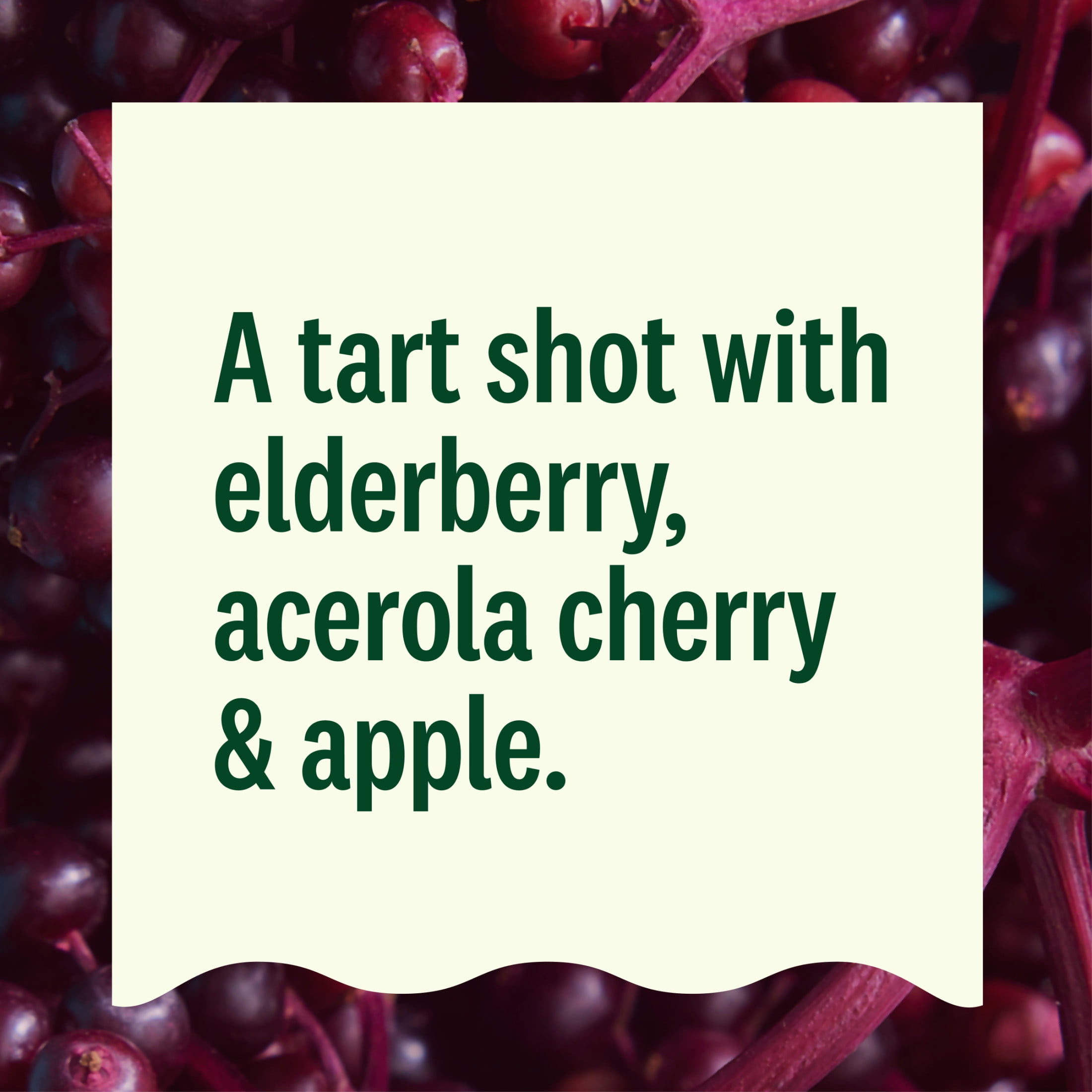 Suja Organic Immunity Elderberry Apple Shot, 1.7 fl oz Bottle