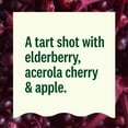 thumbnail image 6 of Suja Organic Immunity Elderberry Apple Shot, 1.7 fl oz Bottle, 6 of 13