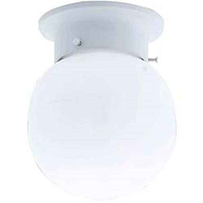 One Light Globe Ceiling Fixture