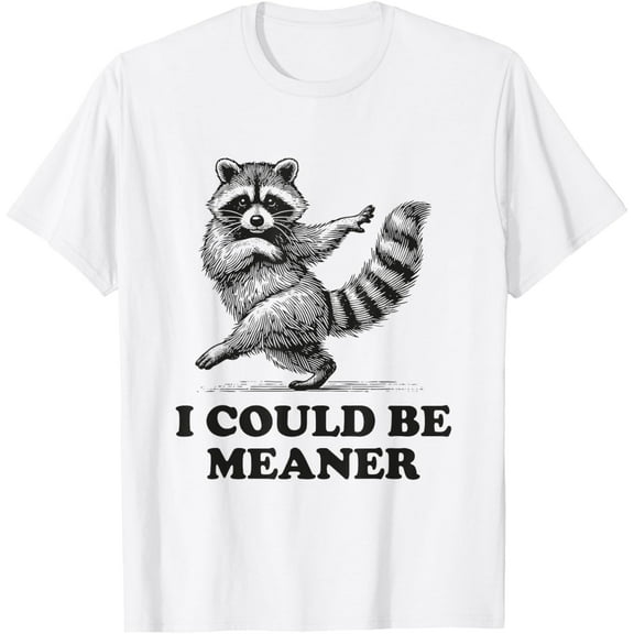 I Could Be Meaner Vintage Sarcastic Humor Funny Raccoon T-Shirt TShirt