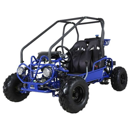 -HHH Go-kart GK110 Upgraded 125cc Go Kart Gas Fully Automatic with Reverse Youth Kids 2 Seater 125cc Kart