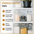 thumbnail image 2 of Pantry Moth Traps Dr. Killigan's Premium Double Potent (paquete de 20), 2 of 9