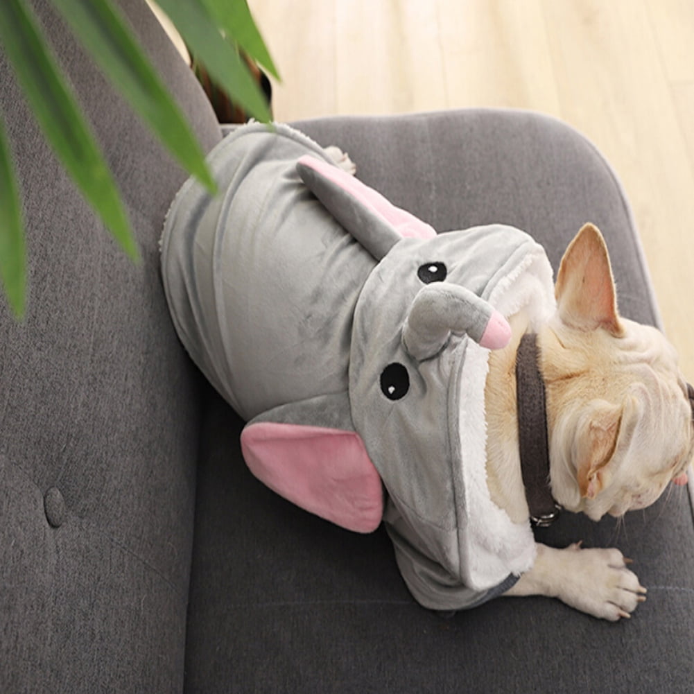 funny dog jackets