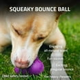 thumbnail image 3 of CHUANK Beef Scent Squeaky Bounce Ball Dog Toy  Large, 3 of 10