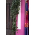 thumbnail image 2 of Ross, Nancy ,  Steve 22x32 Gold Ornate Wood Framed with Double Matting Museum Art Print Titled - Mexico, Puerto Vallarta Serape hanging by a wall, 2 of 4