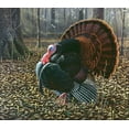 thumbnail image 2 of Goebel, Wilhelm 22x20 White Modern Wood Framed Museum Art Print Titled - The King Of Spring - Wild Turkey, 2 of 4