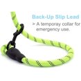 thumbnail image 6 of 5 FT Strong Dog Leash with Comfortable Padded Handle and Highly Reflective Threads Dog Leashes for Small Medium and Large Dogs (Small, 5FT, GREEN), 6 of 7