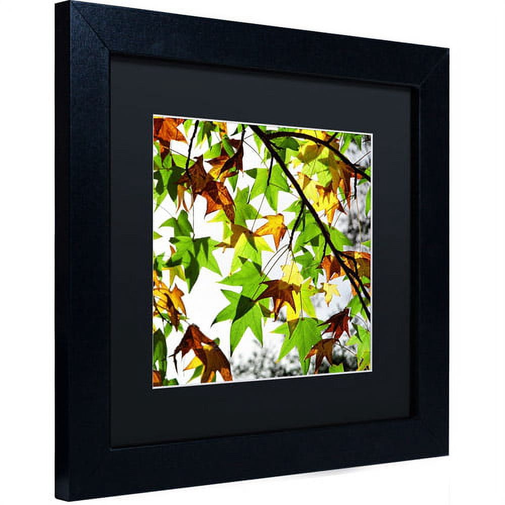 Trademark Fine Art "First Signs" Canvas Art by Beata Czyzowska Young, Black Matte, Black Frame