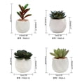 thumbnail image 2 of Pots en Céramique Géométriques Modernes Divers Succulentes Réalistes, Ensemble de 4, 2 of 5