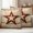 Light Brown Tan Brown, variant on Texas Star Western Outdoor Waterproof Pillow Covers, Country Retro Vintage Decorative Square Throw Pillowcase Sofa Cushion Sham for Patio/Couch/Chair, 18"x18" 2 Pack