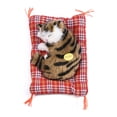 thumbnail image 1 of Gato de simulación niño dormido Jadeshay Juguete de gato de simulación Verdadera excelencia, 1 of 8