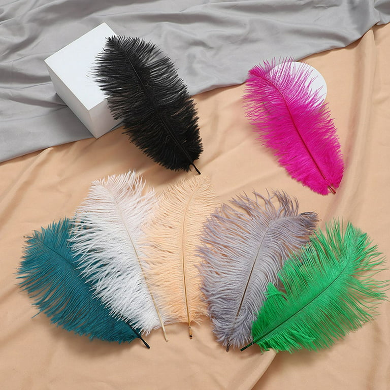 Dainzusyful Artificial Flowers Valentines Day Gifts Feather 23cm Or So  Stage Props Feather Wall Color Feathers Valentines Day Decorations Living  Room