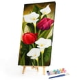 thumbnail image 3 of Cuadros Decorativos Kit de pintura al óleo de tulipanes y alcatraces por números, dibujo sin marco DIY para adultos Ndcxsfigh Nuevos Originales, 3 of 9