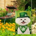 thumbnail image 4 of St Patricks Day Bichon Frise Garden Flags for Outside 12x18 Inch Double Sided, Pet Me I''m Irish Small Yard Decoration Farmhouse Holiday Outdoor(14119), 4 of 7