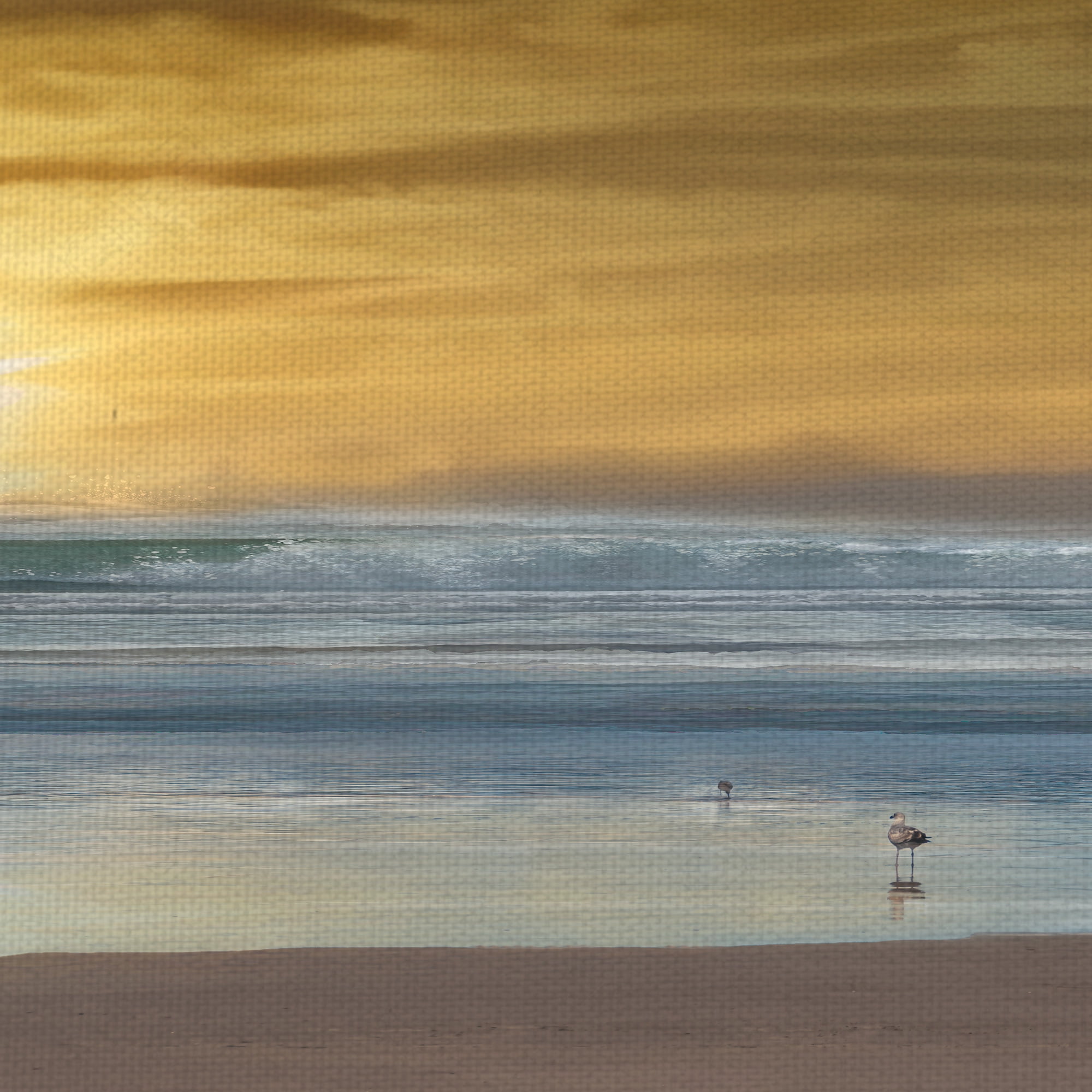 Masterpiece Art Gallery Wading Ocean Birds By Mike Caliscibetta Canvas Art Print 12" x 36"
