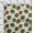 Olive Green, variant on oneOone Polyester Spandex Teal Blue Fabric Florals Quilting Supplies Print Sewing Fabric By The Yard 56 Inch Wide-WUS