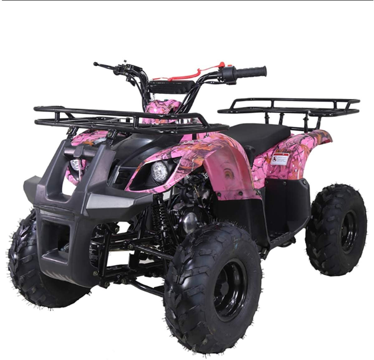 Tao Motor ATA 125D 125cc ATV with Electric Start and Reverse