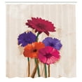 thumbnail image 3 of Ambesonne Gerber Daisy Shower Curtain, Spring Print Flowers, 69"Wx70"L, Magenta Champagne, 3 of 3