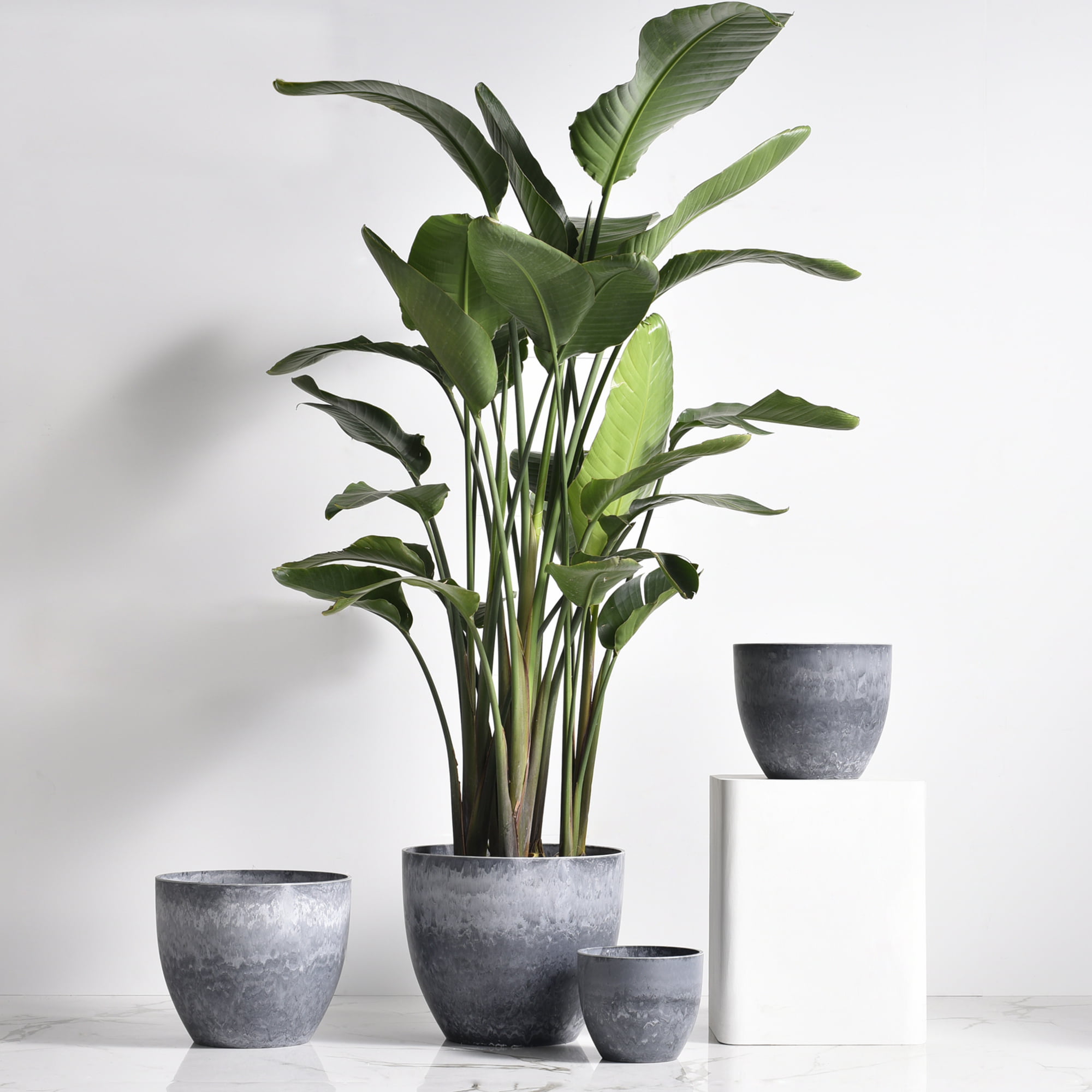 higold housewarming planters container