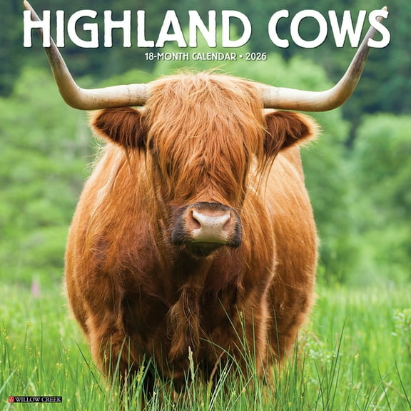 Highland Cows 2026 Wall Calendar, (Paperback)