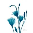 thumbnail image 2 of Bouquet of Gentian in Blue Poster Print by Albert Koetsier (18 x 24), 2 of 2