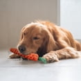 thumbnail image 4 of Carrot Rope Dog Toy Interactive Funny Pet Teeth Cleaning Toy Puppy Chew Rope Toy, 4 of 8