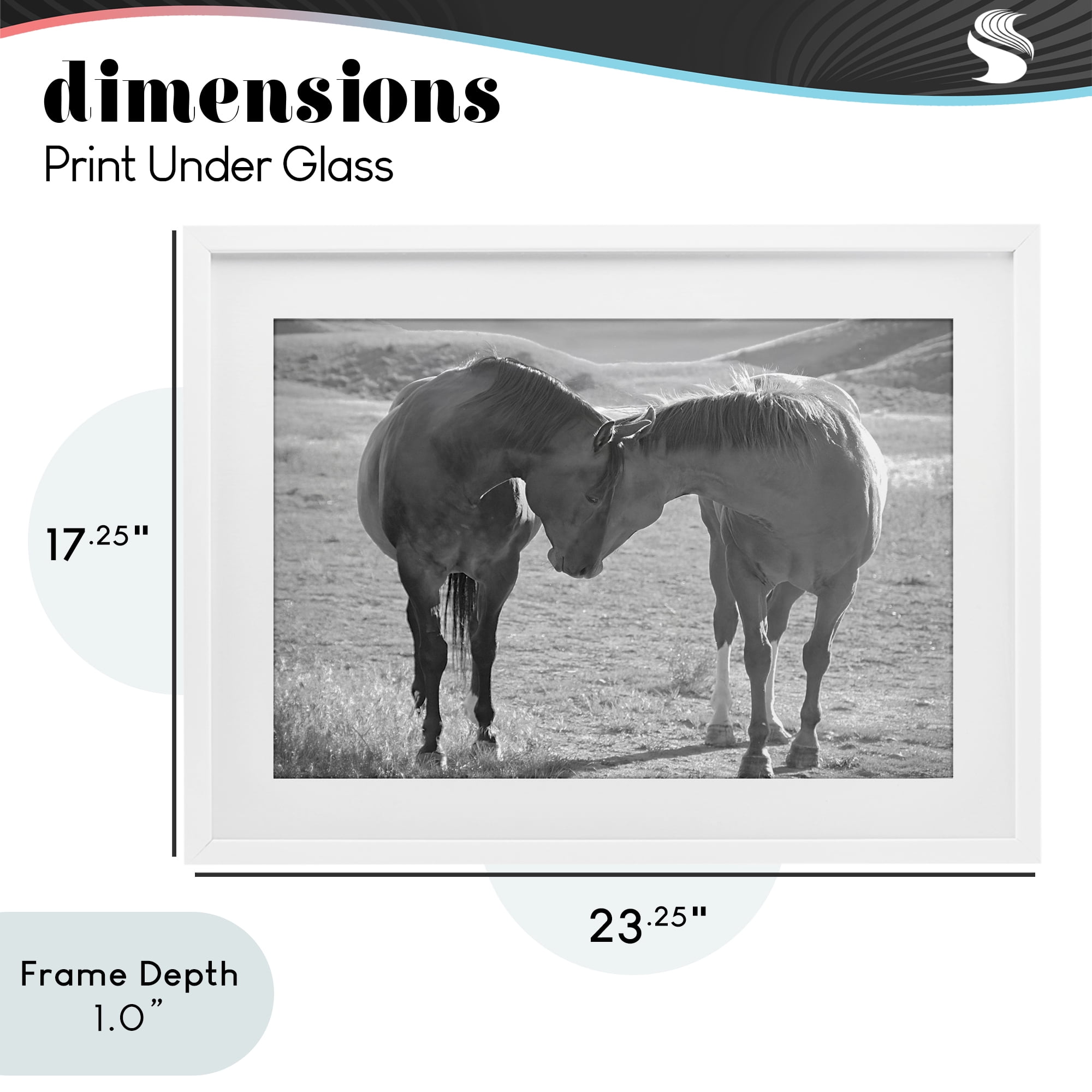 Stupell Industries Sweet Nothings Bond Between Horses White Framed Print Under Glass, design by Steve Toole
