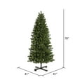 thumbnail image 3 of Vickerman G125065 Arbre Grand Teton Mince 6,5 Pi x 41 Po 876T, 3 of 3