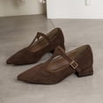 thumbnail image 4 of Wensltd Women Pointed Toe Block Heel Shoes with Buckle Strap Wide Width Comfort Suede Shoes Brown, 4 of 9