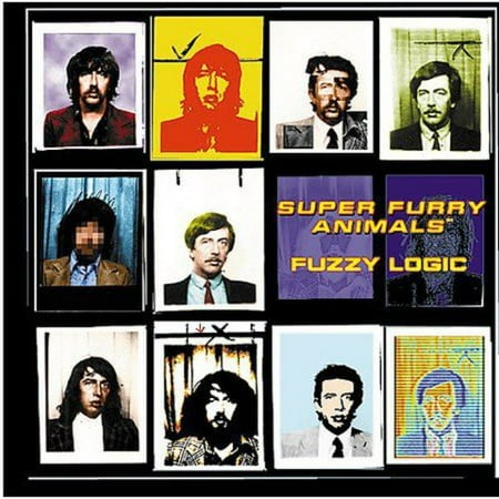 Fuzzy Logic