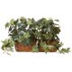 thumbnail image 1 of Planta de seda, hiedra casi natural, con cesta con repisa, 32 cm, 1 of 5