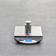 AMERICAN WEIGH SCALES Calibration Weight for Digital Scale, Chrome Plated, 300g