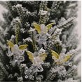 thumbnail image 4 of SDIGV 4 adornos de ángel de cristal para decoración de árboles de Navidad, transparentes - 9388732191144, 4 of 5