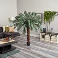 thumbnail image 4 of Nearly Natural 6936 6 ft. Cycas Artificial Tree UV Resistant, 4 of 9