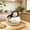 Tea Kettle, variant on Vintage Tea Kettle Shaped Kitchen Timer, Mechanical Timer Countdown for Cooking Baking Study and Management, 60 Minutes Counting Max, Manual Operation No Batteries Required