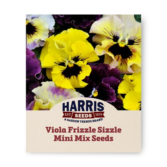 Harris Seeds - Viola Frizzle Sizzle Mini Mix F1 Seeds - Frilly Flowers - 500 Seeds