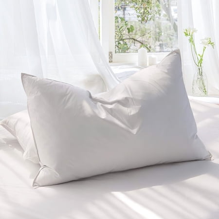 Teler Goose Feather Down Pillows for Sleeping，Luxury Hotel Collection Queen Size Soft Bed Pillow，1 Pack Queen (20" x 28")