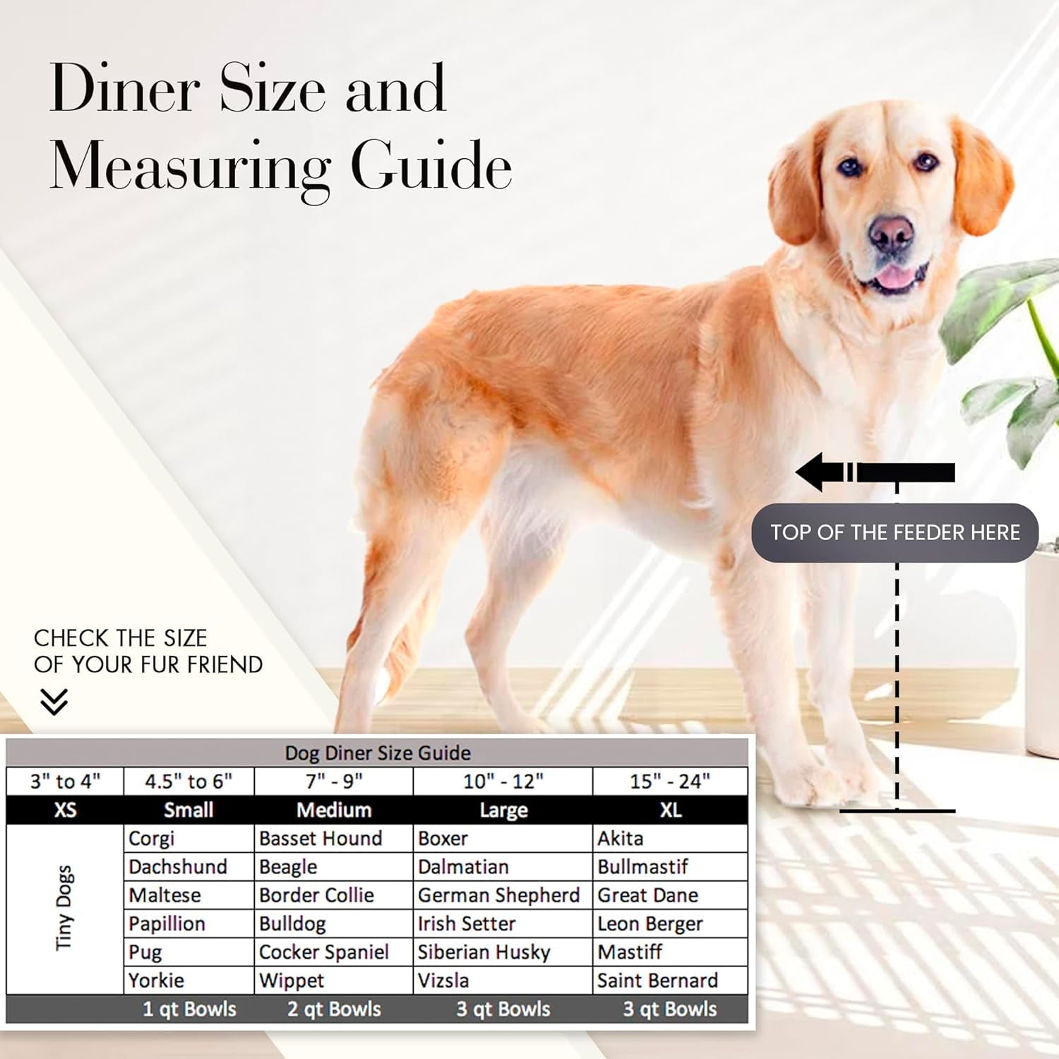 NMN Designs Vision Outdoor/Indoor Elevated Single Diner for Dogs - 10" Tall - Modern Minimalist Metal Dog Bowl Stand - Stylish Raised Pet Bowl for Large Breed - Premium Stainless Steel Bowl