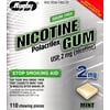 Rugby Nicotine Stop Smoking Aid Mint Flavor Polacrilex Gum, 2 mg, 110 Count