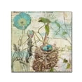 thumbnail image 2 of Trademark Fine Art "Nesting I" Canvas Art by Color Bakery, 2 of 4