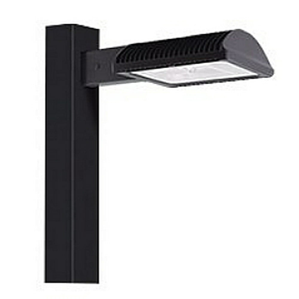 RAB Lighting 150W LED High Wattage Cool Type IV Bronze Area Light with 8in Pole With 120V Swivel