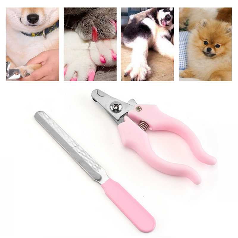 nail trimmer for dogs walmart