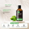 thumbnail image 6 of MAYJAM 2PCS Premium Essential Oil for Diffuser, Aromatherapy, Skin, Massage, Candle Making Fragrance, Eucalyptus and Tea Tree Oil, 6 of 9