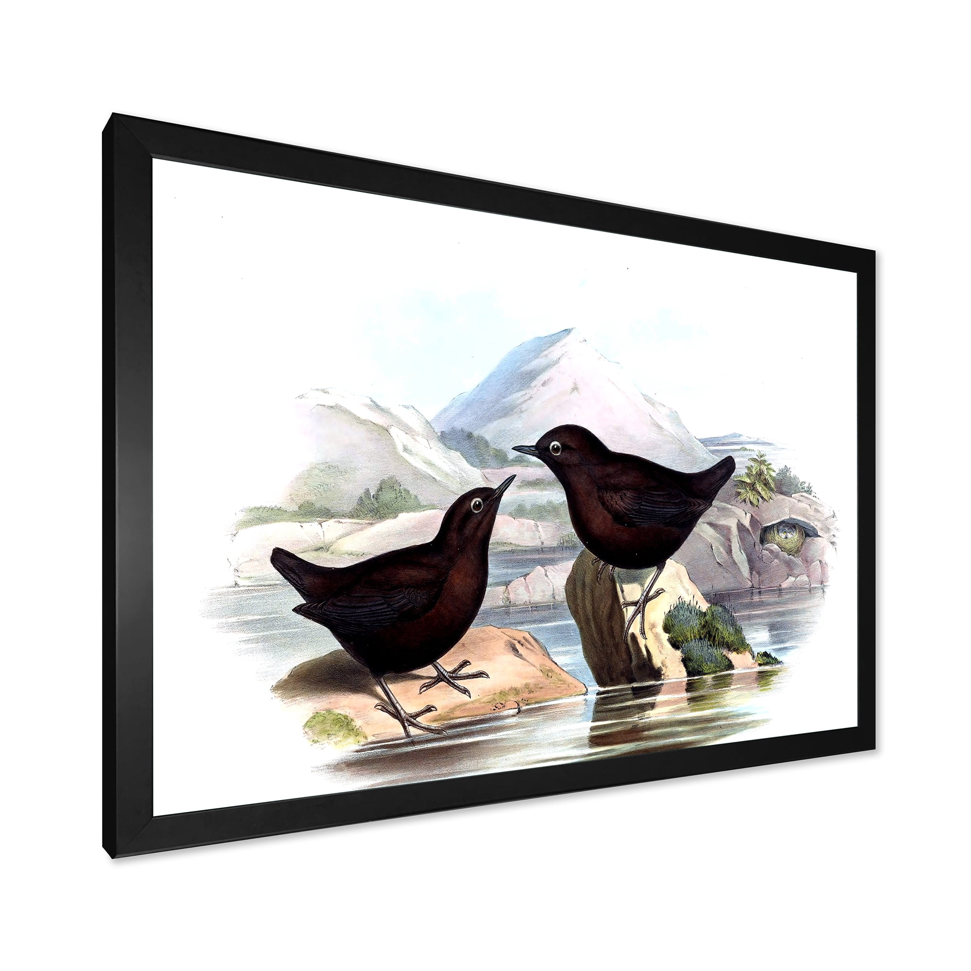 Designart 'Vintage Countryside Two Birds' Farmhouse Framed Art Print