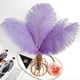 thumbnail image 5 of Nvzi 24 piezas de plumas de avestruz azul bebé naturales a granel de 10 a 12 pulgadas, 25 cm a 30 cm para centros de mesa de bodas, fiestas, Pascua Gatsby y decoración del hogar, plumas de avestruz, 5 of 5