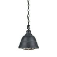 thumbnail image 2 of Golden Lighting Bartlett 1-light Pendant in Black Patina, 2 of 8