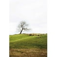 thumbnail image 2 of Marshall, Laura 13x18 White Modern Wood Framed Museum Art Print Titled - Dales Way II, 2 of 4