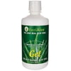 (3 pack) Real Aloe Inc Aloe Vera Gel -- 32 fl oz