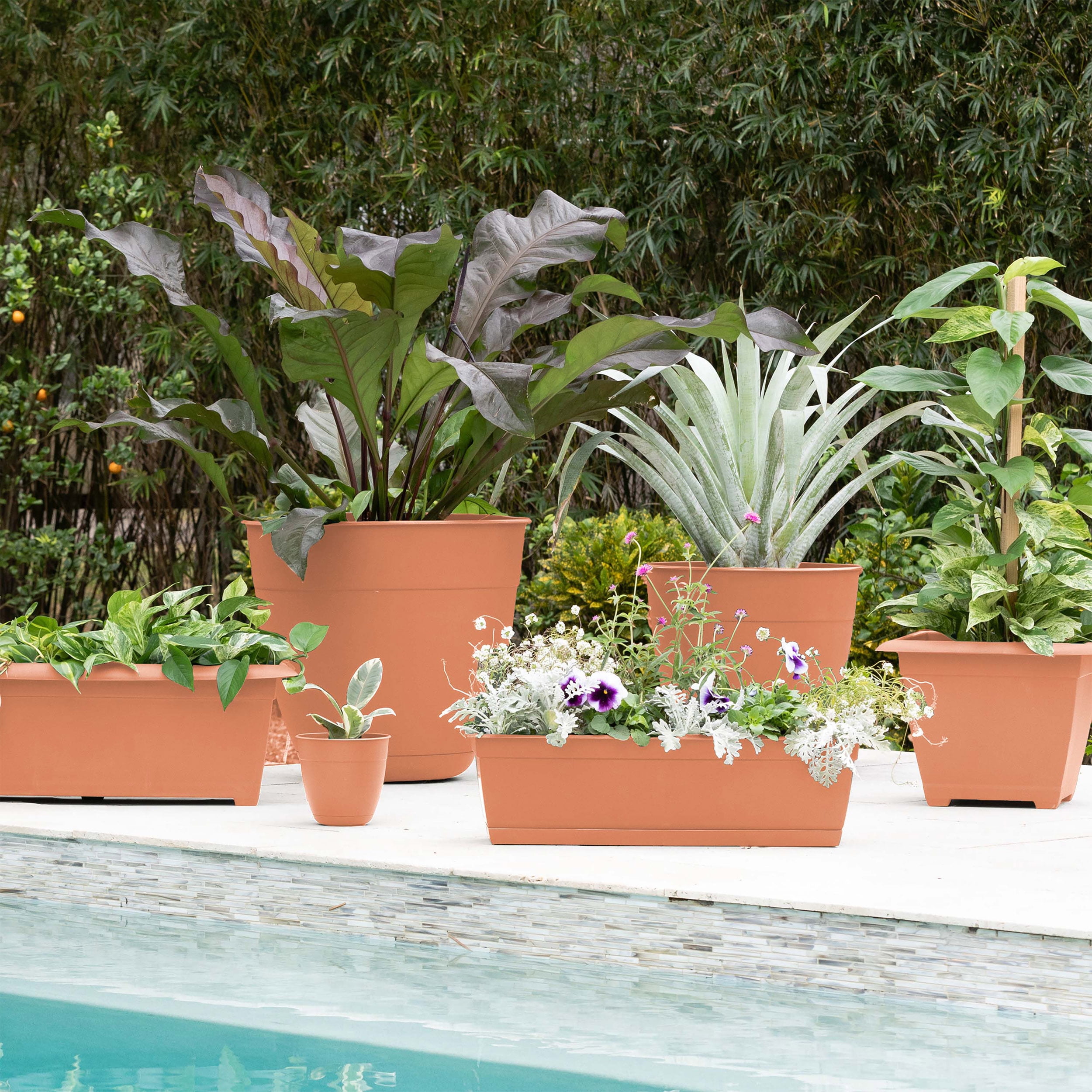 Bloem 20-in Dayton 100% Recycled Plastic Planter with Saucer - Coral Color